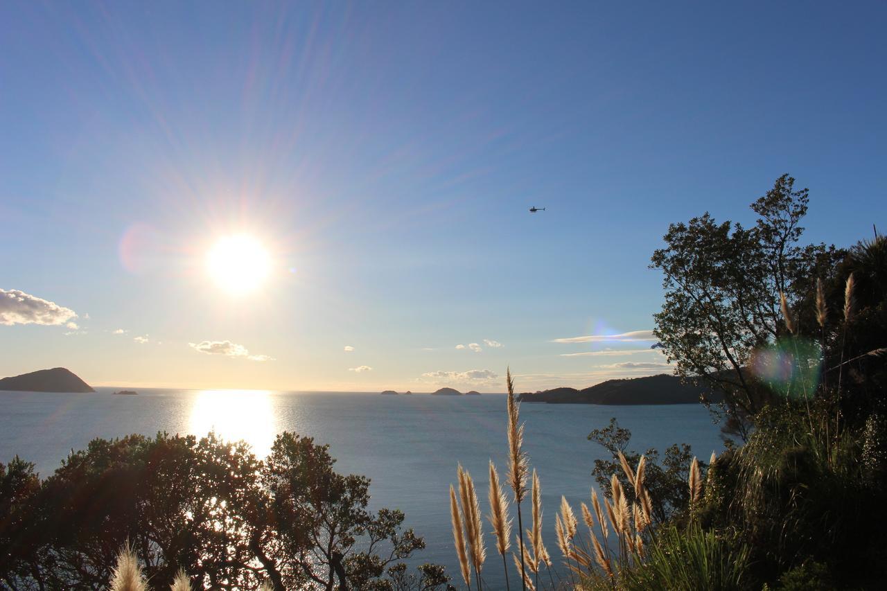 Вилла Island View Experience Coromandel Экстерьер фото